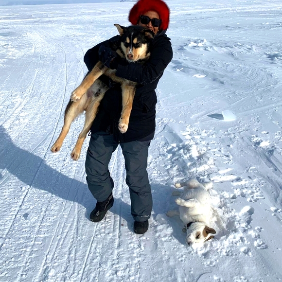 Meet your Posher, Lily - Picture 1 of 1